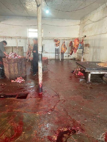 На антисанитарию в убойном пункте пожаловались жители Жанаозена