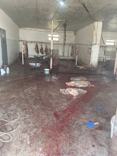 На антисанитарию в убойном пункте пожаловались жители Жанаозена