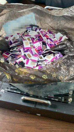 600 sim-карт и оборудование для рассылки нашли у россиянина в авто на границе Казахстана 