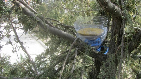 Вызвавший подозрение парень оказался экоактивистом в Актау