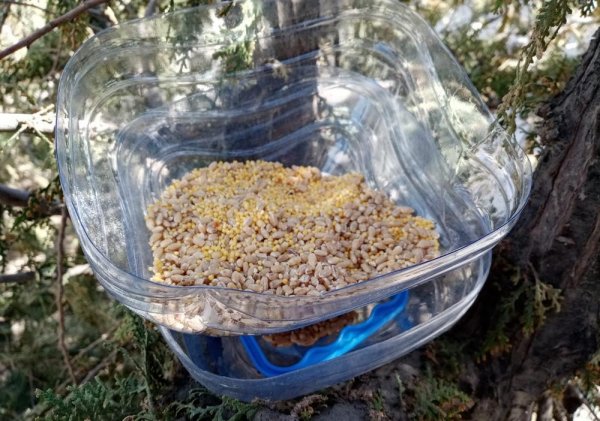 Вызвавший подозрение парень оказался экоактивистом в Актау