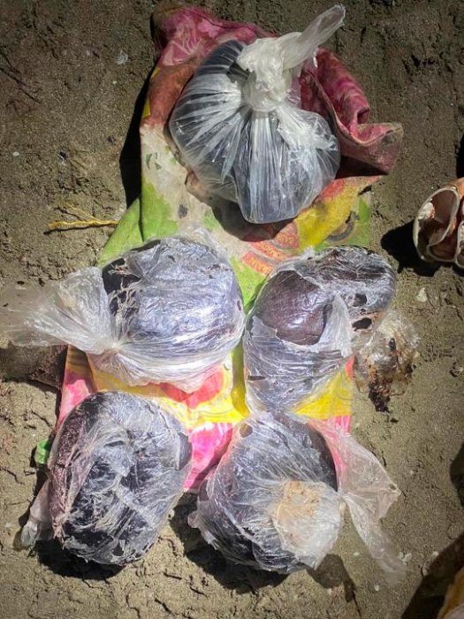 Поставляли морским путем: в Мангистау пресечен крупный канал контрабанды наркотиков