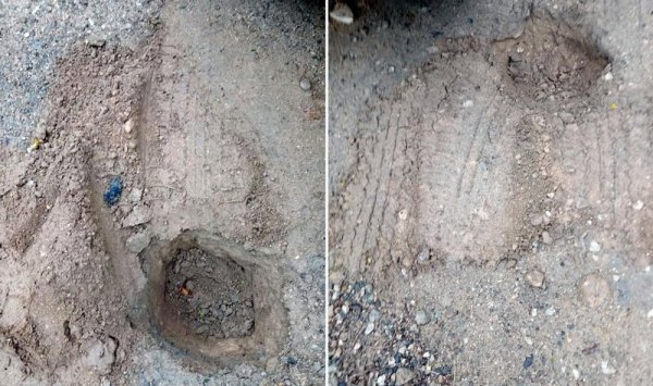 Давят лунки с растениями: жители требуют наказать нарушителей в Актау