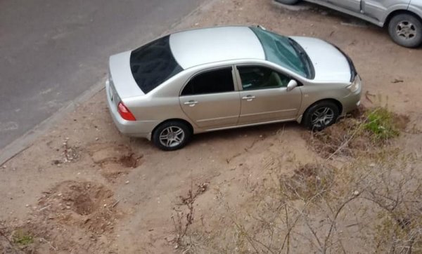 Давят лунки с растениями: жители требуют наказать нарушителей в Актау