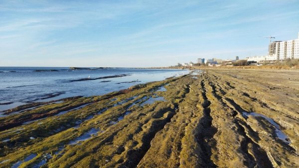 Новая версия обмеления Каспия вызвала резонанс