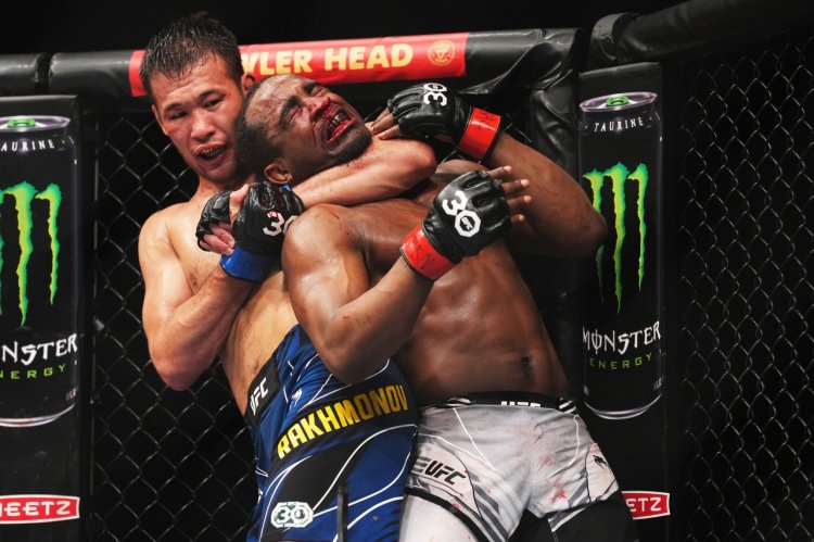 Букмекеры оценили шансы Шавката Рахмонова на титул Букмекеры оценили шансы Шавката Рахмонова на титул