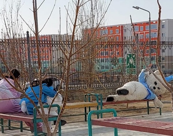 Музыканты и кортежи «Гелендвагенов» под окнами роддома в Актау! Врачи просят не устраивать шоу