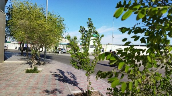 Сдержал слово: хозяин рынка благоустроил территорию в Актау