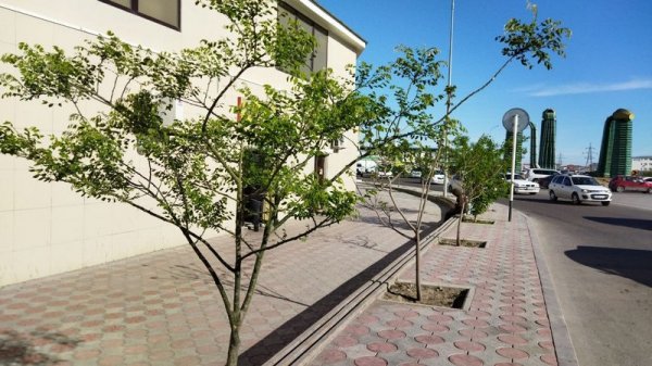 Сдержал слово: хозяин рынка благоустроил территорию в Актау