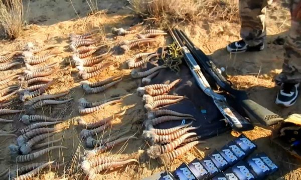 Браконьеров ищут на вертолётах в Мангистау