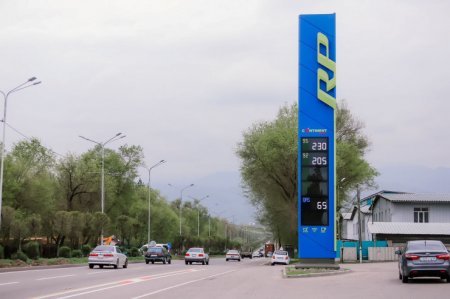 На казахстанских АЗС выросли цены на бензин и дизель