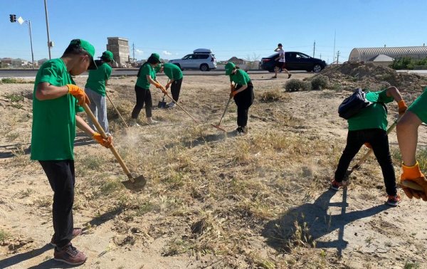 В Актау стартует набор в отряд озеленителей