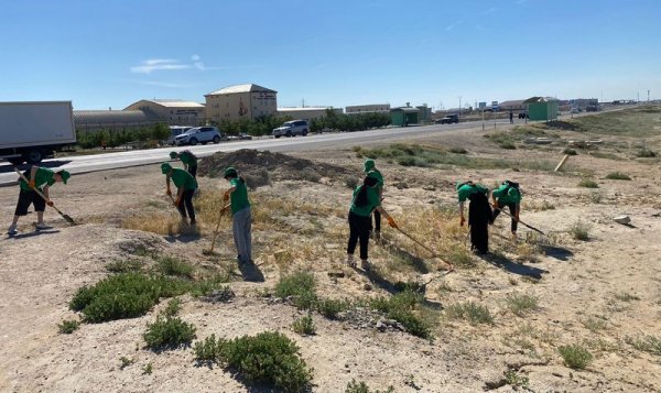 В Актау стартует набор в отряд озеленителей