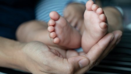 Отцу 550 детей суд запретил сдавать сперму 
