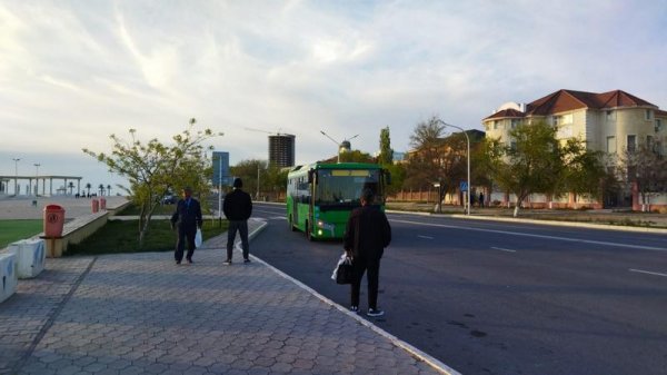 Оборудовать остановку на набережной попросили чиновников Актау