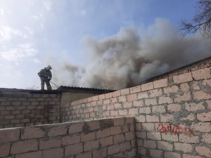 Пятерых детей и кошку вызволили из запертых квартир спасатели Мангистау