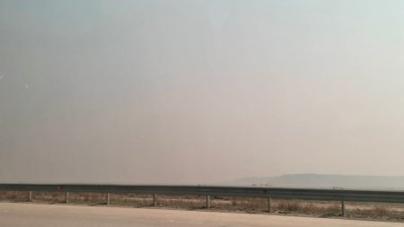 Густой дым от пожаров накрыл Акмолинскую область