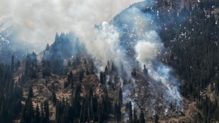 Пожарный погиб при тушении огня на склоне горы в Медеу
