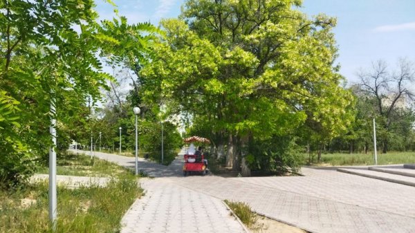 Забытый уголок: Как «живёт» городской парк «Акбота» в Актау