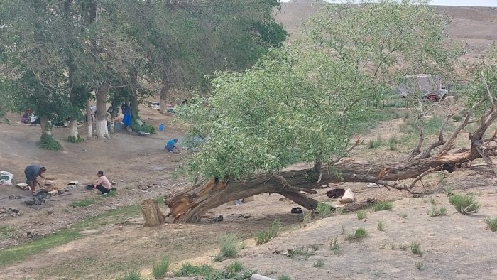 Скоро от урочища Акмыш не останется и следа: учредитель этноаула «Көгез» бьет тревогу