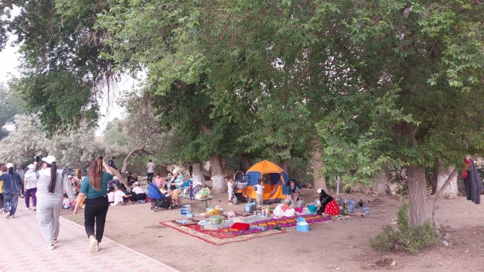 Скоро от урочища Акмыш не останется и следа: учредитель этноаула «Көгез» бьет тревогу