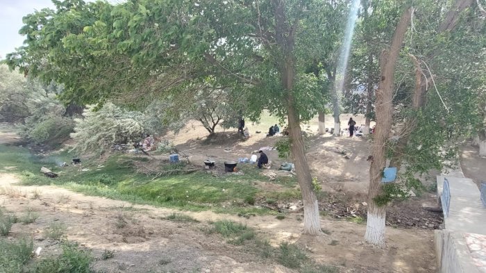 Скоро от урочища Акмыш не останется и следа: учредитель этноаула «Көгез» бьет тревогу