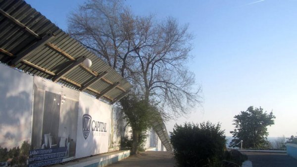 Удручающая картина: вырубку сухостоя начали на спуске к морю в Актау