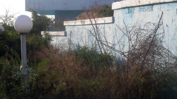 Удручающая картина: вырубку сухостоя начали на спуске к морю в Актау