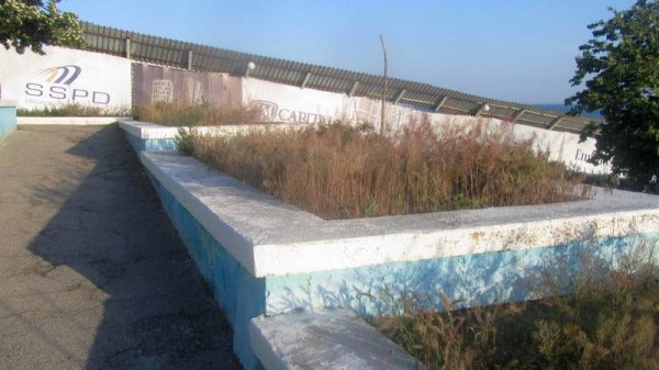 Удручающая картина: вырубку сухостоя начали на спуске к морю в Актау