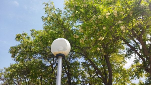 Забытый уголок: Кто займётся благоустройством парка «Акбота» в Актау