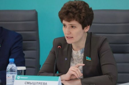 Без посредников и спекулянтов: мажилис принял законопроект по сжиженному газу