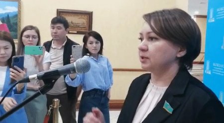 В Мажилисе объяснили, почему убирают ответственность за оскорбление Назарбаева 