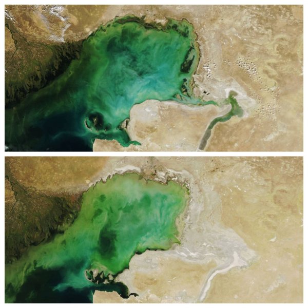 Мелеет на глазах: быстрое высыхание Каспия зафиксировали в Туркменистане