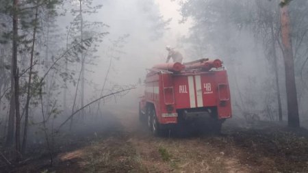 Когда потушат пожар в области Абай - новый глава МЧС озвучил прогноз