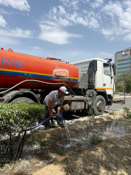 График полива зелёных насаждений предоставили озеленители Актау