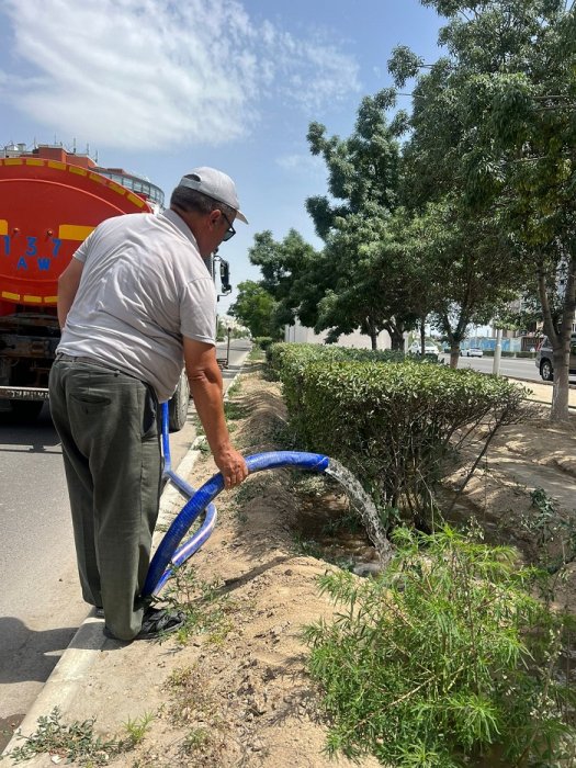 График полива зелёных насаждений предоставили озеленители Актау