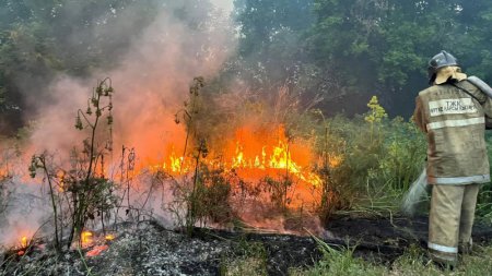 Удар молнии, поджог либо халатность – три версии возникновения пожара в Абайской области