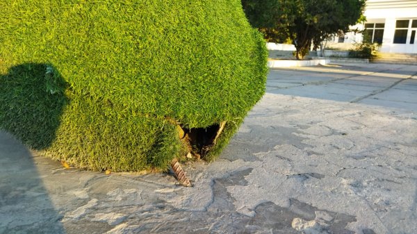 На состояние инсталляции у стадиона в Актау обратили внимание жители