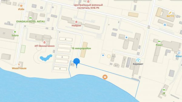 Бродячие собаки нападают на отдыхающих в Актау