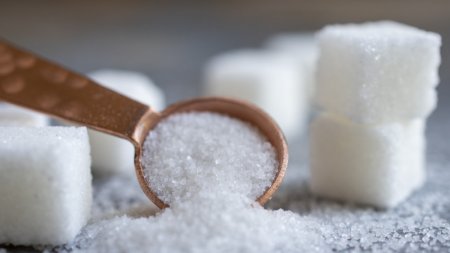 Что будет с ценами на сахар в Казахстане, спросили у министра торговли