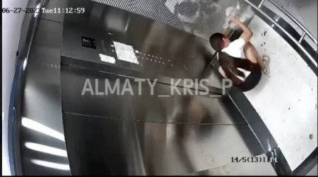 Душила, бросала об пол и пинала. Издевательство девочки над кошкой попало на видео Душила, бросала об пол и пинала. Издевательство девочки над кошкой попало на видео