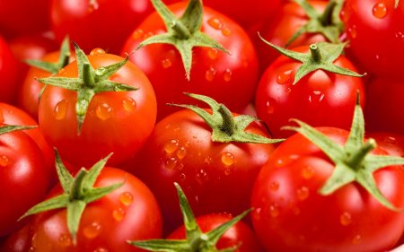 «Вирусные» помидоры из Казахстана выявили в России