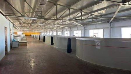 До конца 2024 года в Мангистау запустят два предприятия рыбного хозяйства