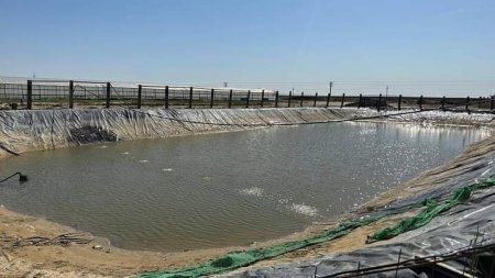 До конца 2024 года в Мангистау запустят два предприятия рыбного хозяйства