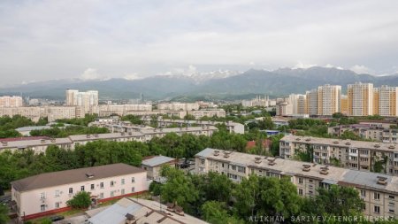 Застройка в Алматы: задержан экс-глава управления урбанистики 