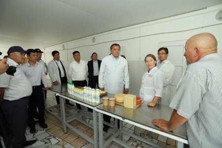 Казахстанские предприниматели из Мангистау впервые примут участие в международном конкурсе сыров