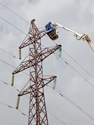 АО «МРЭК» выполнило 80% годового плана по ремонту воздушных линий электропередачи