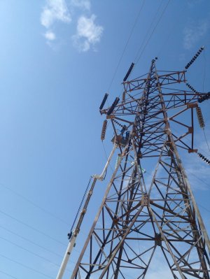 АО «МРЭК» выполнило 80% годового плана по ремонту воздушных линий электропередачи