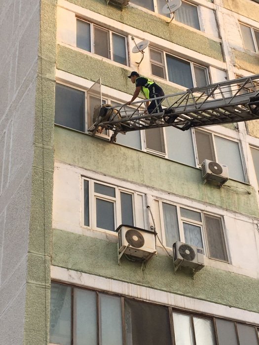 Вызовы о змеях в автомобилях получают спасатели от жителей Мангистау