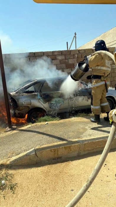 Вызовы о змеях в автомобилях получают спасатели от жителей Мангистау